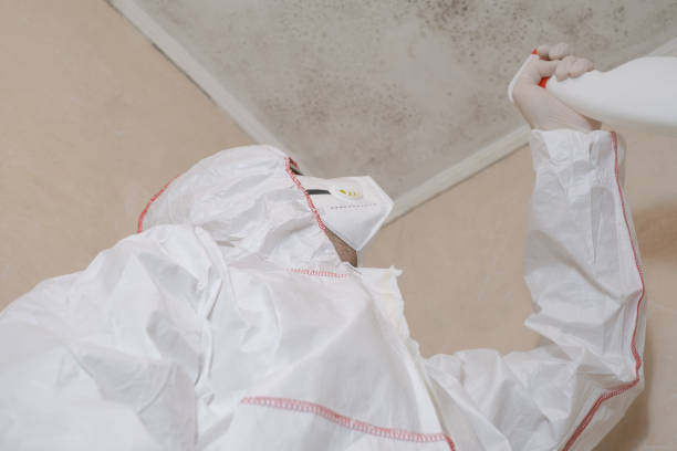 Best Certified Mold Removal  in Eddyville, KY